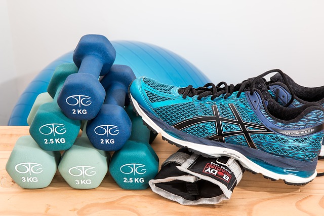 dumbbells-2465478_640 fitness